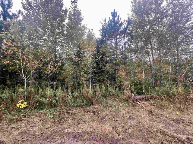 $27,500 | Dream Lake Road, Unit 3, Long Lake, WI 54542