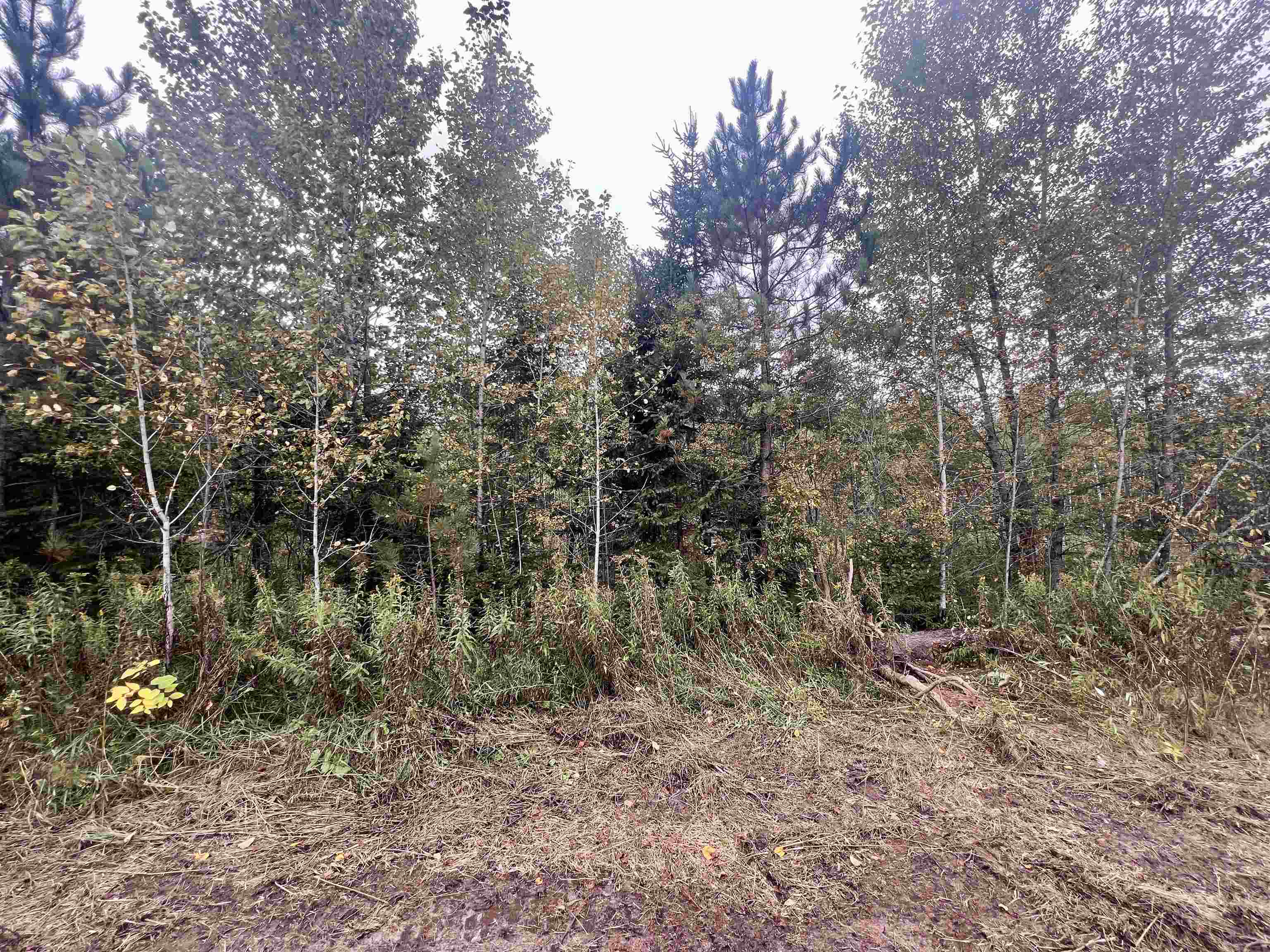 Dream Lake Road, Unit 3 Long Lake, WI 54542 - Photo 5 of 7