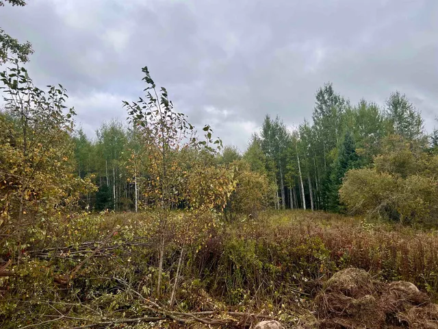 $27,500 | Dream Lake Road, Unit 3, Long Lake, WI 54542