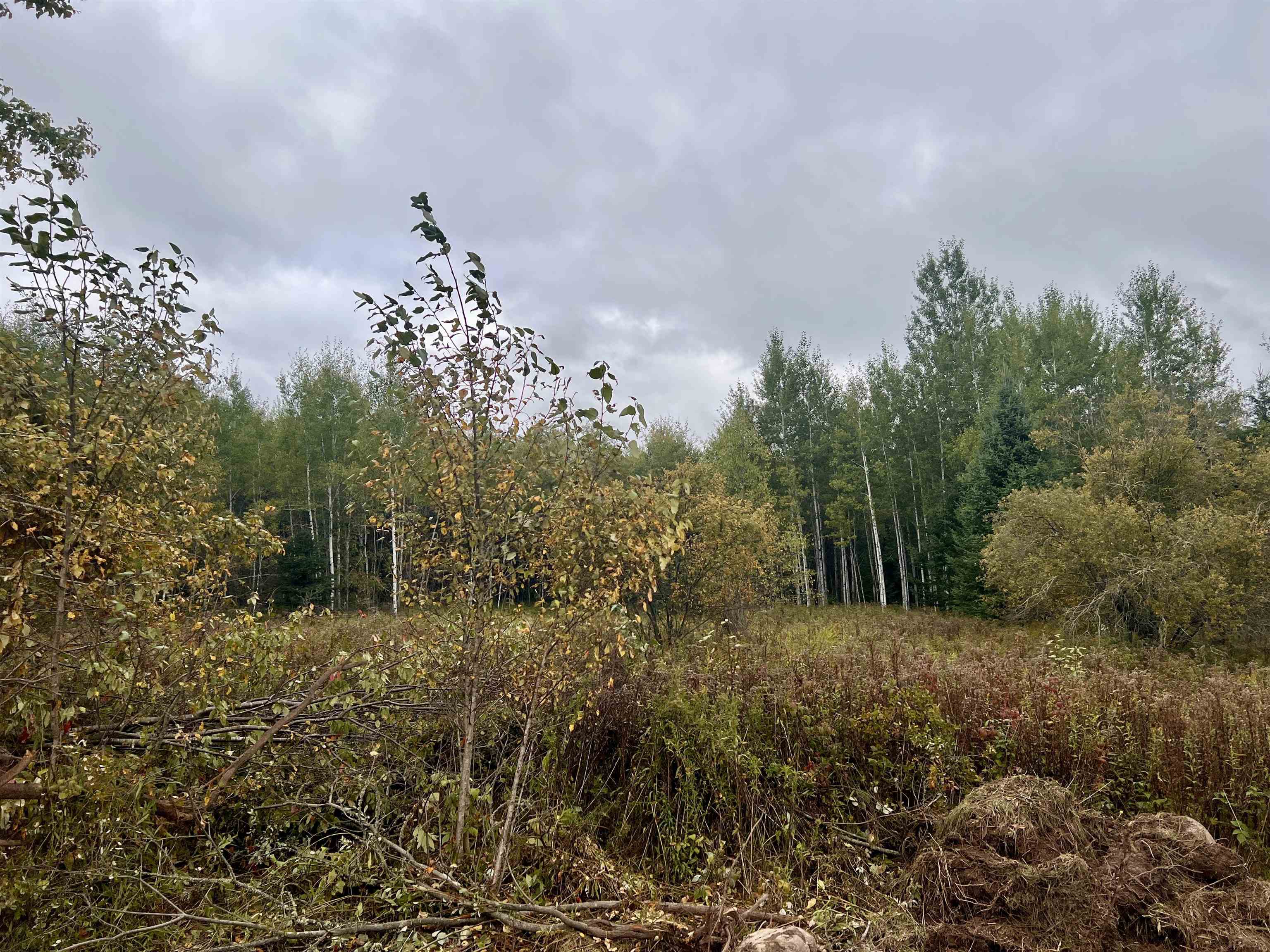 Dream Lake Road, Unit 3 Long Lake, WI 54542 - Photo 6 of 7