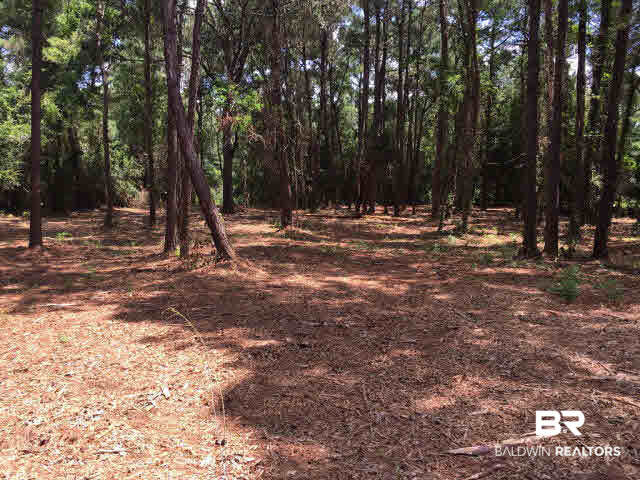 0 Clay City Road Fairhope, AL 36532 - Photo 2 of 15