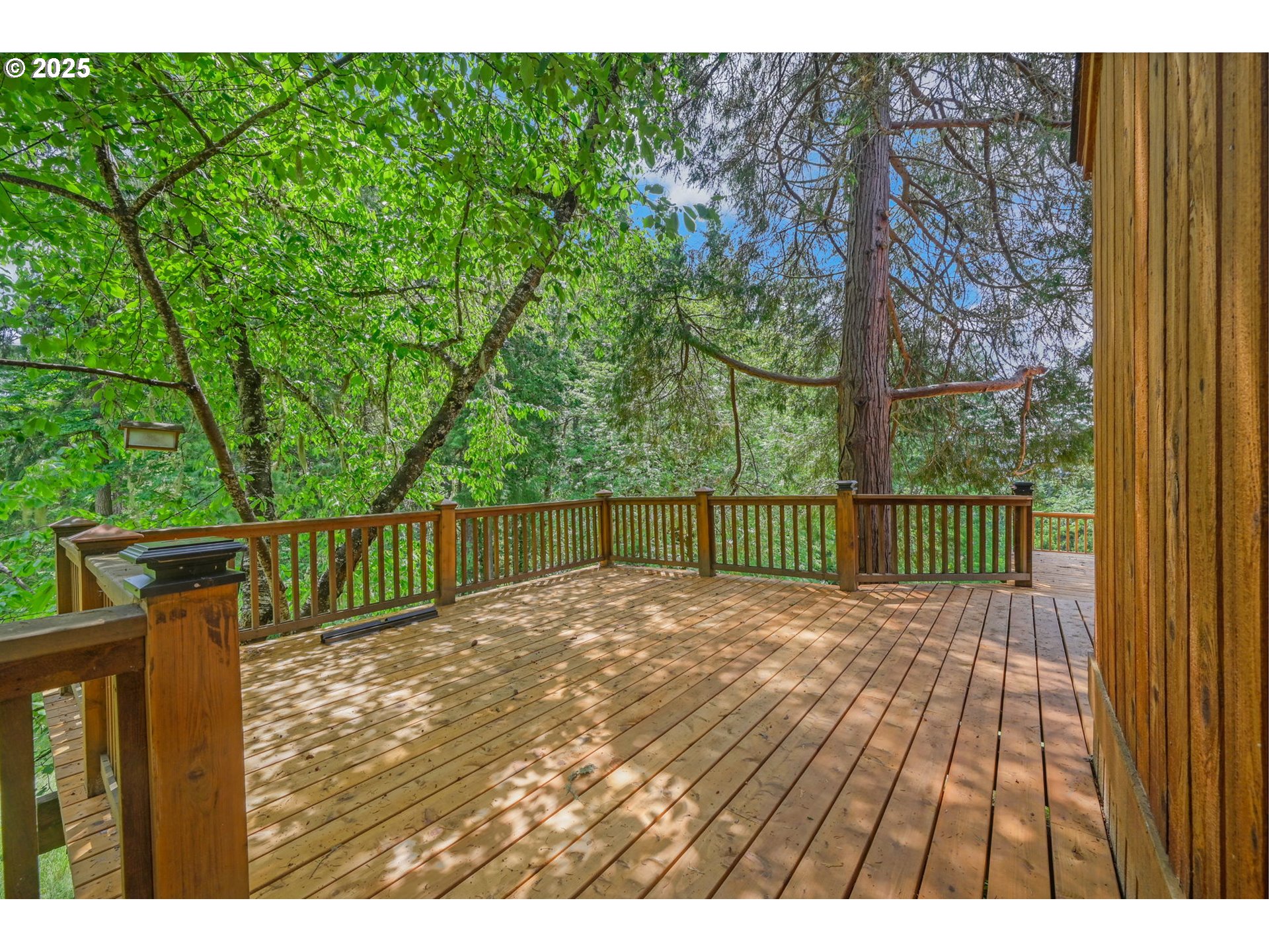 32316 Riley Lane Cottage Grove, OR 97424 - Photo 39 of 48 Gallery Image 39