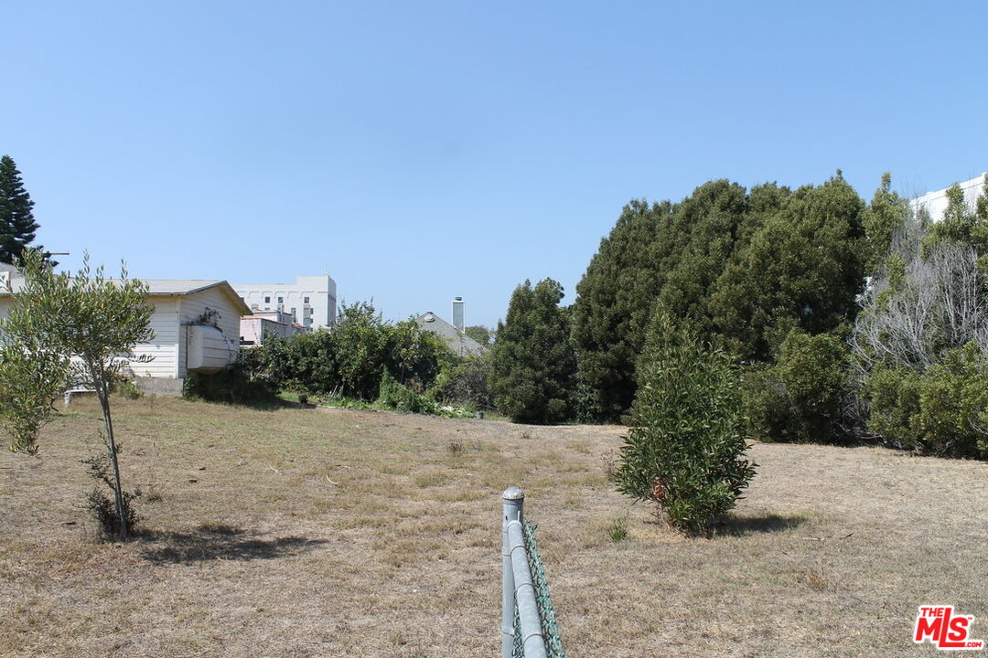 a view of a dry yard with trees