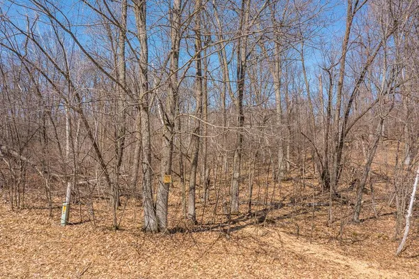 $750,000 | Tbd Tbd Gregory Drive Southwest, Pillager, MN 56473