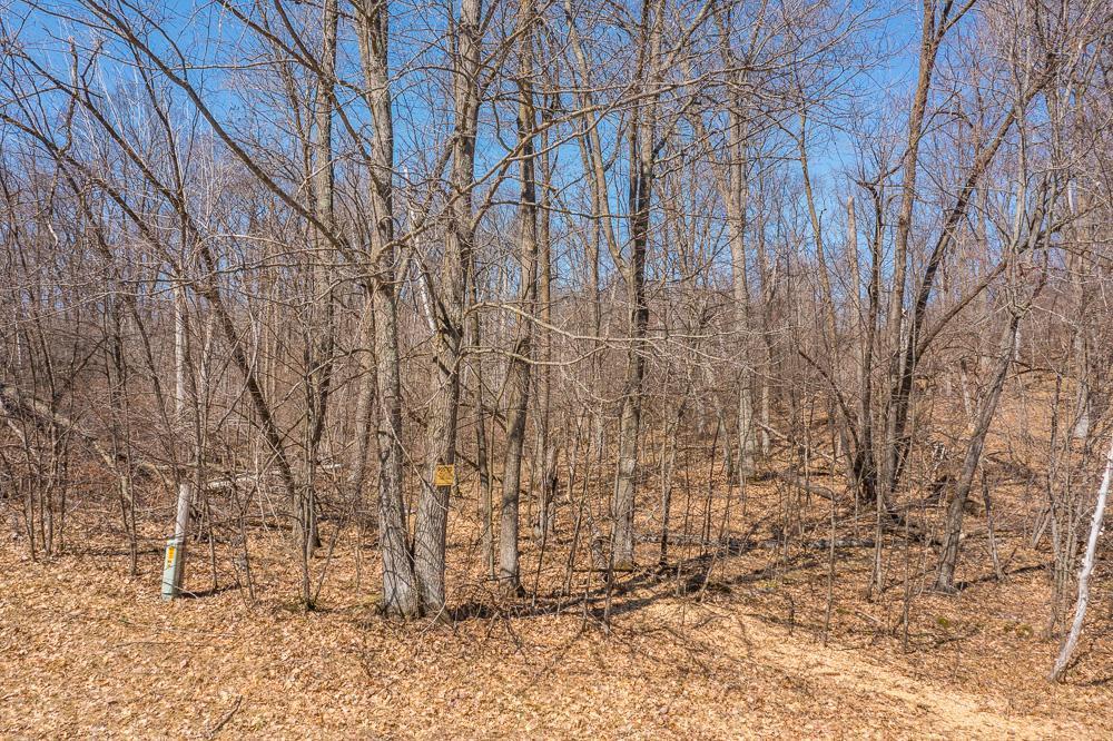 Tbd Tbd Gregory Drive Southwest Pillager, MN 56473 - Photo 14 of 37