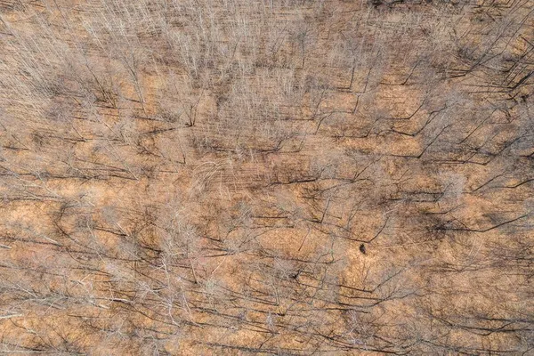 $750,000 | Tbd Tbd Gregory Drive Southwest, Pillager, MN 56473