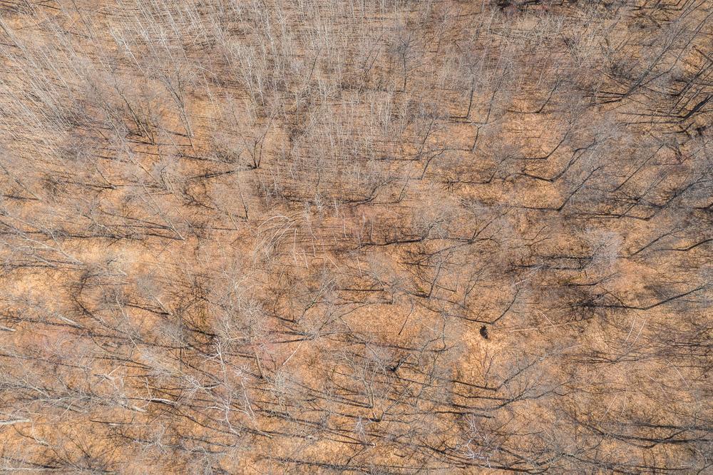 Tbd Tbd Gregory Drive Southwest Pillager, MN 56473 - Photo 29 of 37