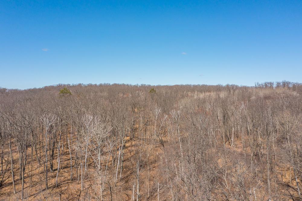 Tbd Tbd Gregory Drive Southwest Pillager, MN 56473 - Photo 32 of 37