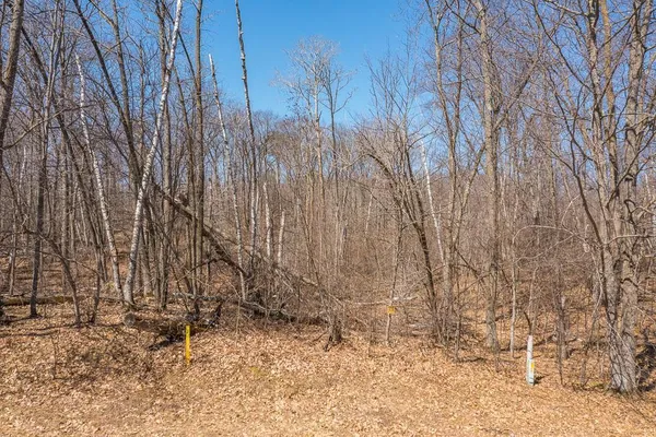 $750,000 | Tbd Tbd Gregory Drive Southwest, Pillager, MN 56473