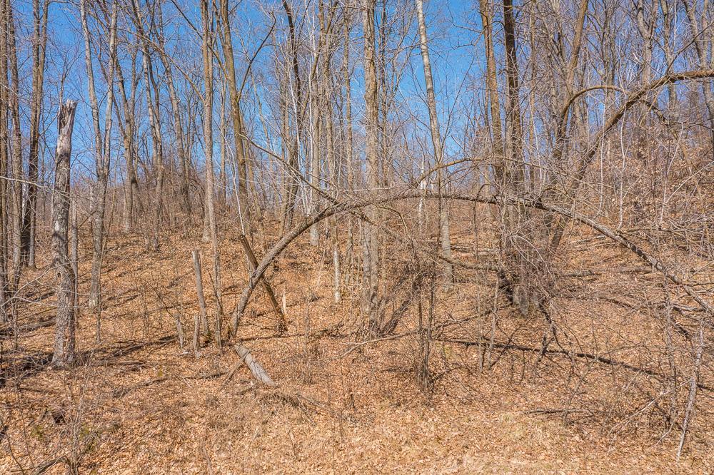 Tbd Tbd Gregory Drive Southwest Pillager, MN 56473 - Photo 34 of 37