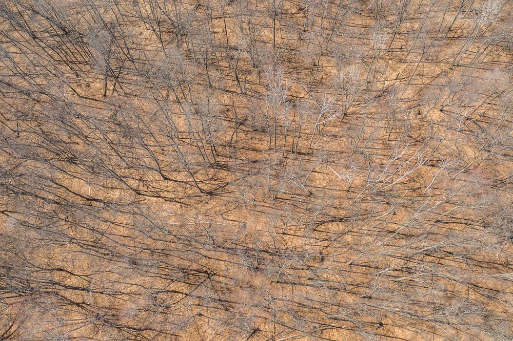 Tbd Tbd Gregory Drive Southwest Pillager, MN 56473 - Photo 9 of 37