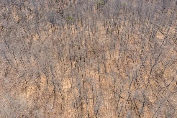 $750,000 | Tbd Tbd Gregory Drive Southwest, Pillager, MN 56473