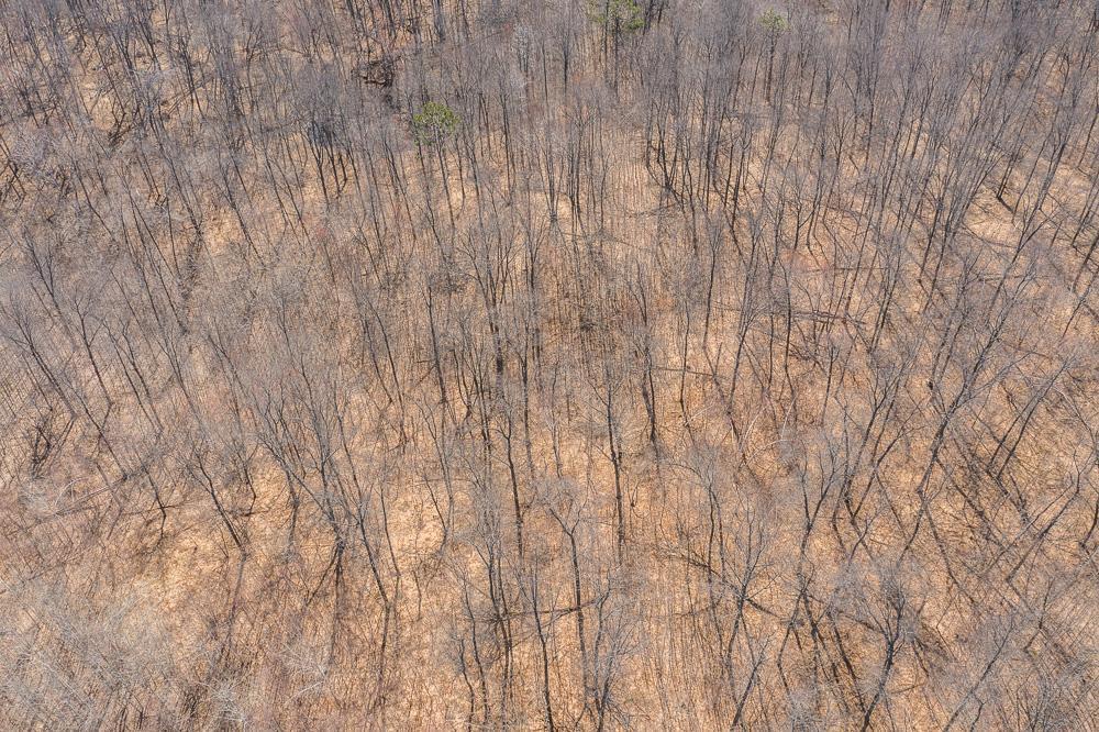 Tbd Tbd Gregory Drive Southwest Pillager, MN 56473 - Photo 10 of 37