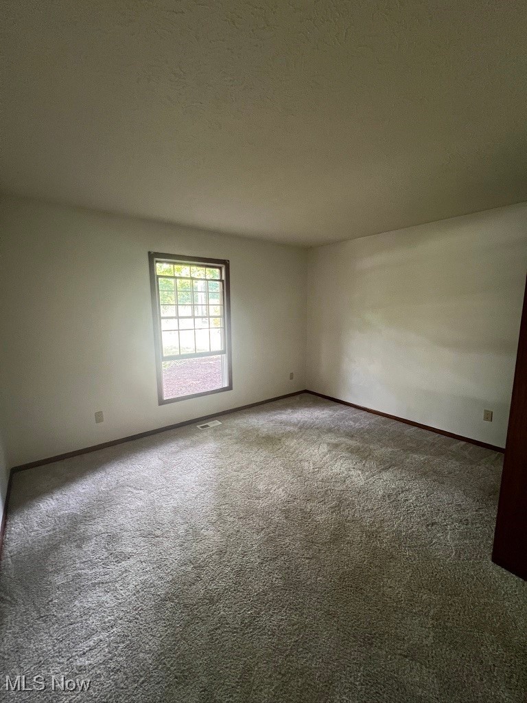 11331 Palmer Road Painesville, OH 44077 - Photo 21 of 47 Spare room with carpet floors and a textured ceiling