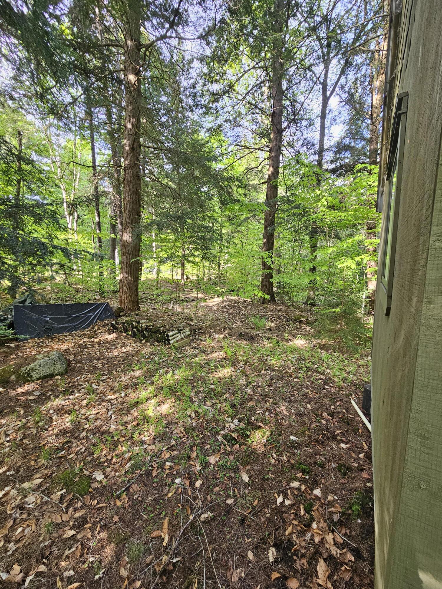 736 Bartlett Carry Road Tupper Lake, NY 12986 - Photo 10 of 17