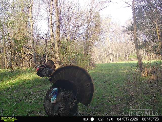 4051 State Rte 41 Manchester, OH 45144 - Photo 37 of 42