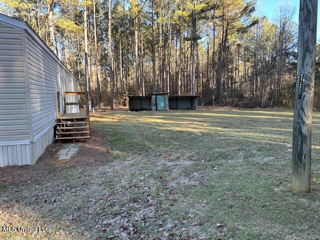 984 Woodrow Martin Road Pelahatchie, MS 39145 - Photo 17 of 18 IMG_9972