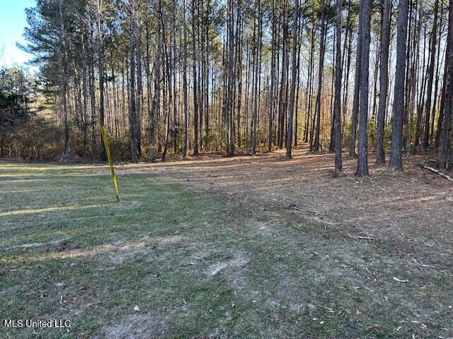 984 Woodrow Martin Road Pelahatchie, MS 39145 - Photo 18 of 18 IMG_9973