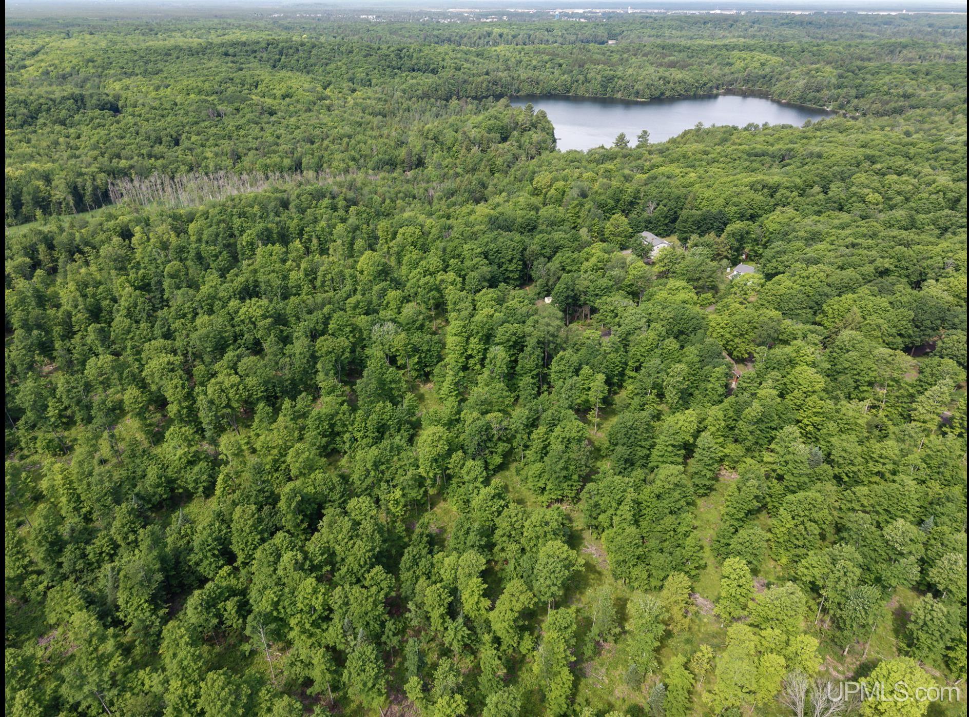 1658 Engman Lake Road Skandia, MI 49885 - Photo 38 of 50