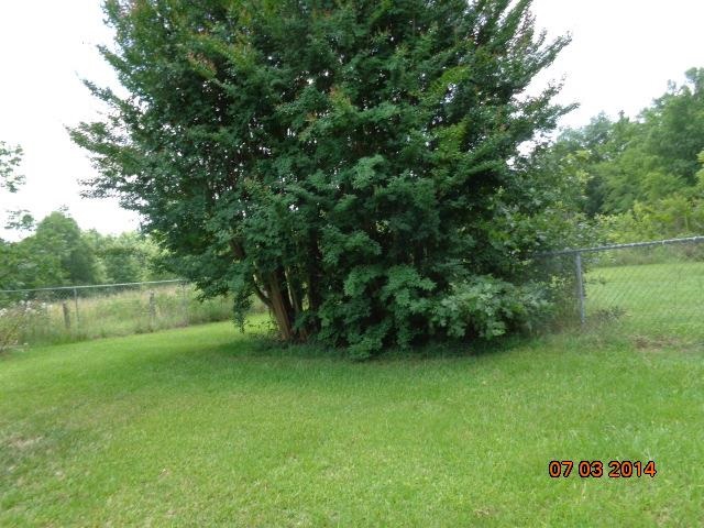 404 Wrenn Road Bradley, SC 29819 - Photo 3 of 36