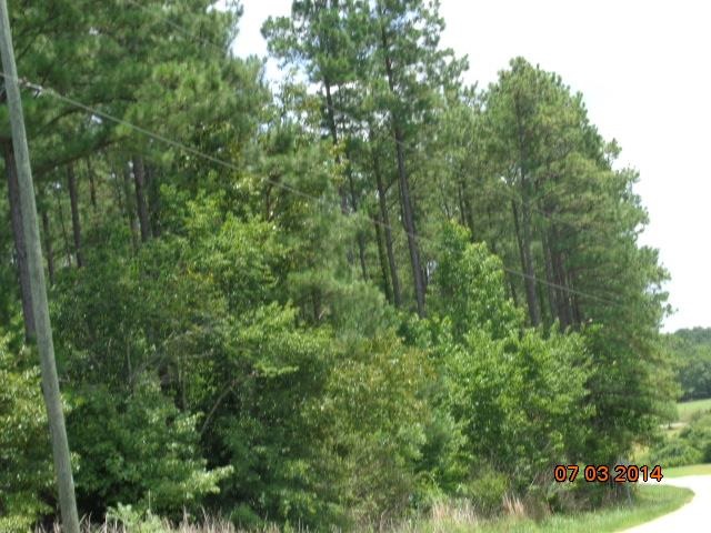 404 Wrenn Road Bradley, SC 29819 - Photo 32 of 36