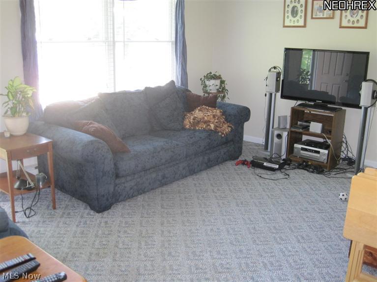 4196 Beat Road Litchfield, OH 44253 - Photo 2 of 22 Cozy Living Room...