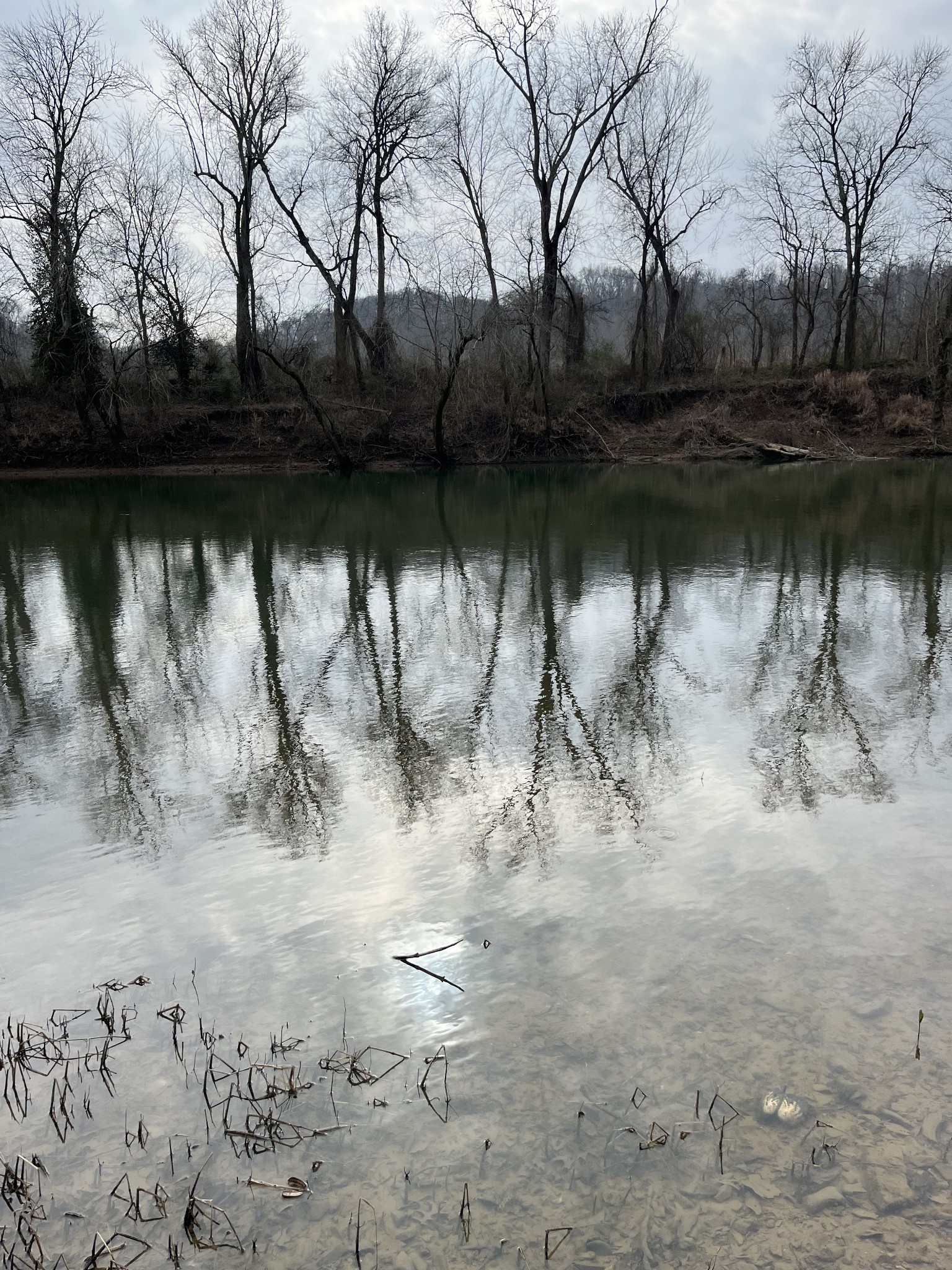 0 Huddleston Road Centerville, TN 37033 - Photo 2 of 8