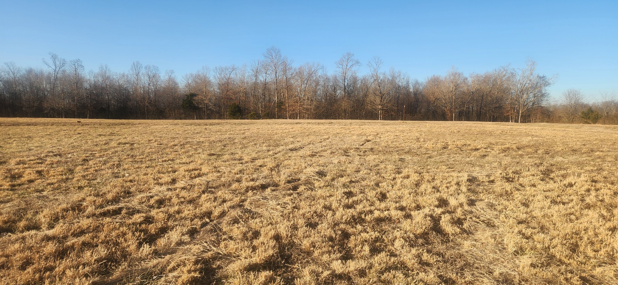 0 Huddleston Road Centerville, TN 37033 - Photo 5 of 8