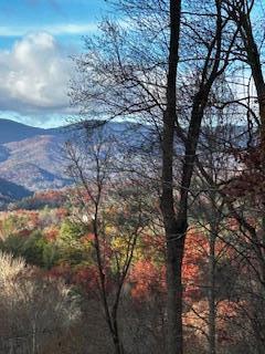 Tbd Upper Peachtree Road Murphy, NC 28906 - Photo 3 of 17