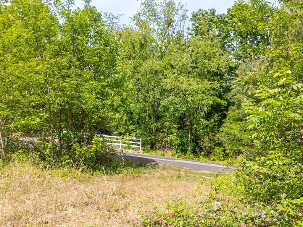 Tbd Ahart Ridge Road, Unit 58 60 61 Ararat, VA 24053 - Photo 27 of 54 Gallery Image 27
