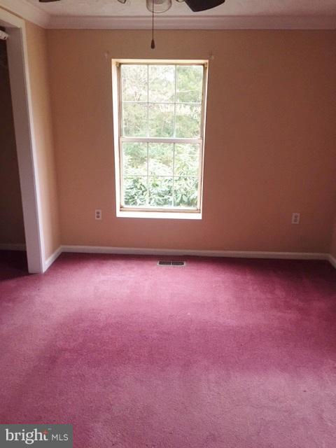244 Hanback Road Gordonsville, VA 22942 - Photo 8 of 9 BEDROOM 2