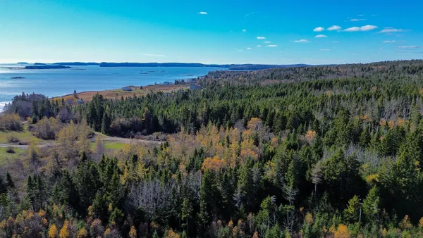 $179,000 | Lot 6 Holmes Bay Farm, Whiting, ME 04691