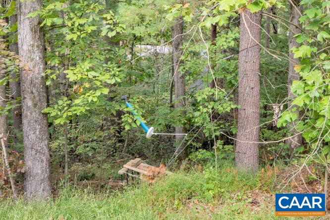 107 Goldenrod Road Ruckersville, VA 22968 - Photo 31 of 31 a view of a forest with a tree