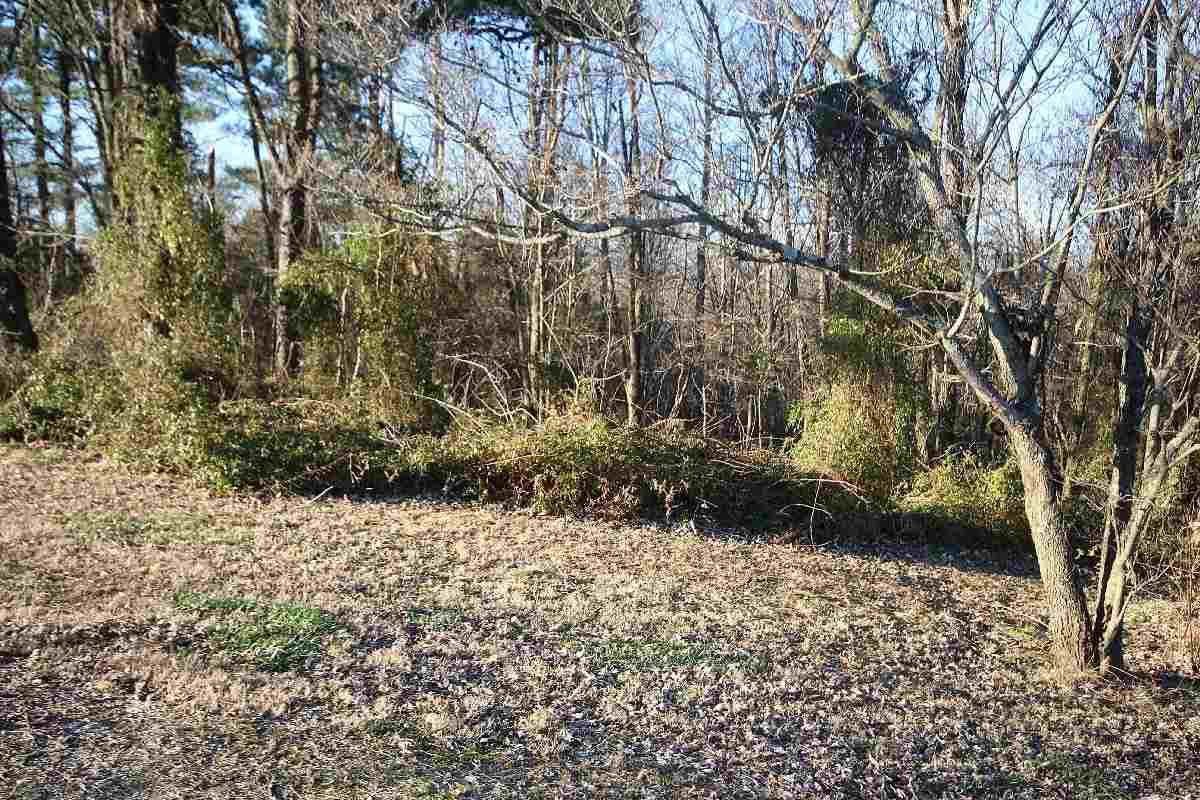 650 McStouts Road Caneyville, KY 42721 - Photo 22 of 26 Gallery Image 22