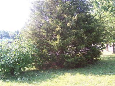 104 West Ridgeway McKee, KY 40447 - Photo 17 of 17 Photo 19