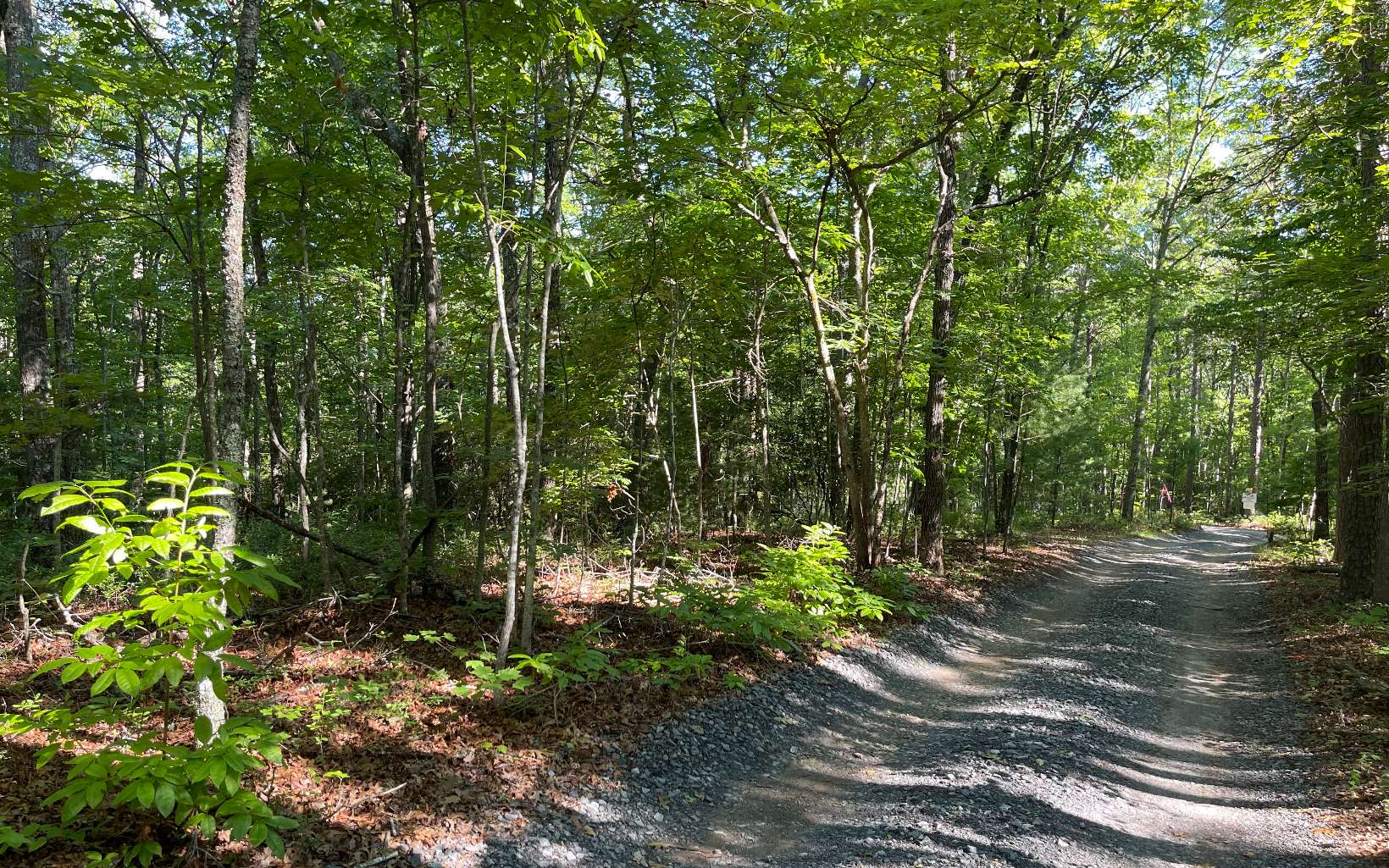 3-ac Mt Carmel Road Morganton, GA 30560 - Photo 2 of 4 Additional View