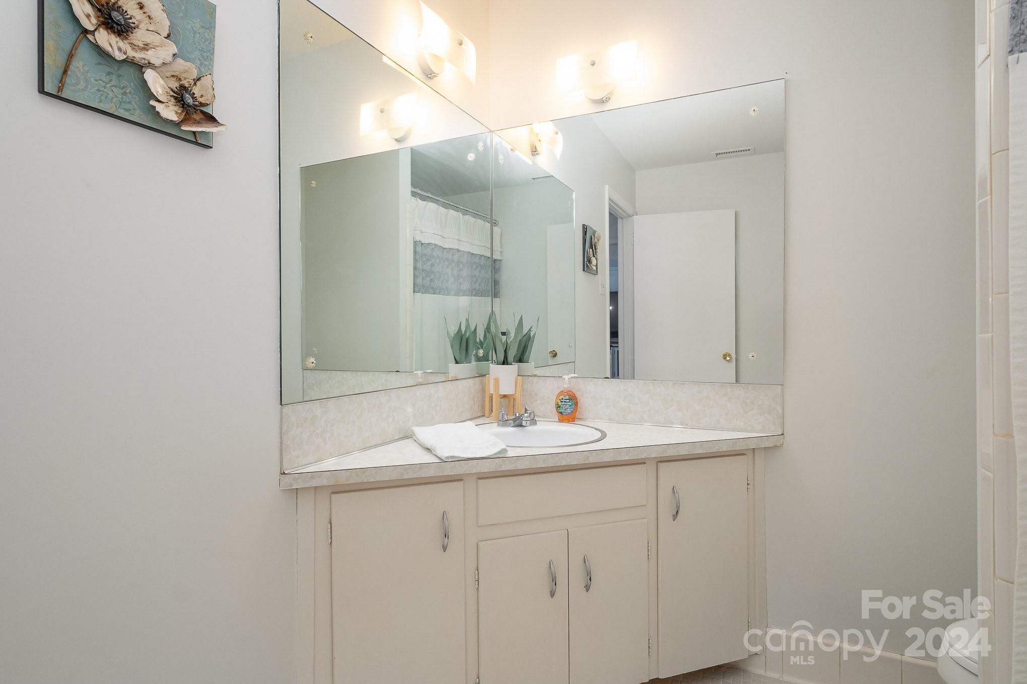 4081 Section House Road Hickory, NC 28601 - Photo 20 of 38 a bathroom with a sink and a mirror