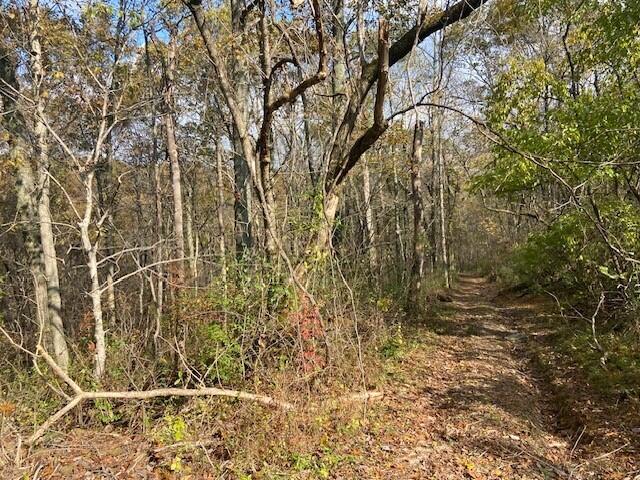 1121 Galbraith Road Brooksville, KY 41004 - Photo 6 of 7