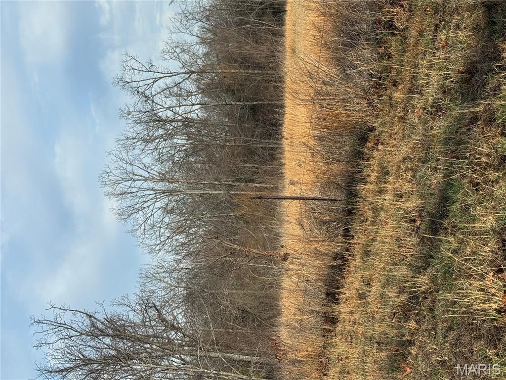 21050 Eatherton Road St. Mary, MO 63673 - Photo 4 of 25