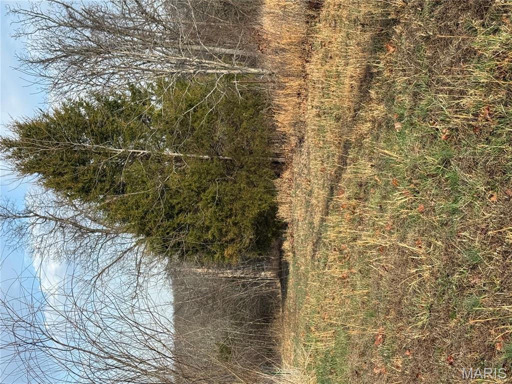 21050 Eatherton Road St. Mary, MO 63673 - Photo 5 of 25