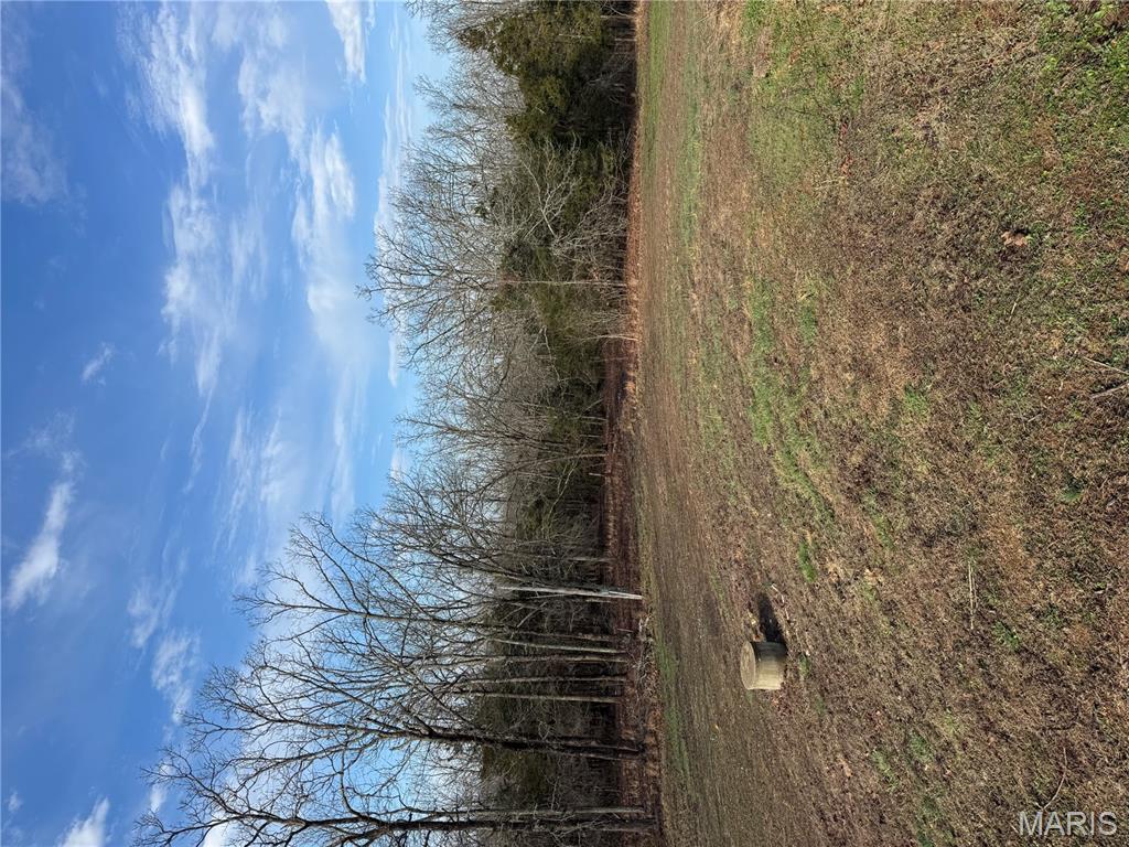 21050 Eatherton Road St. Mary, MO 63673 - Photo 7 of 25