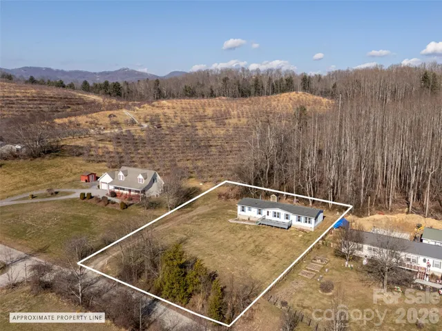 a small pool with trees in the background