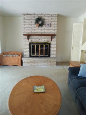 13945 South Custer Road Dundee, MI 48131 - Photo 7 of 9 Living Rm Fireplace