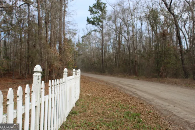 a view of a pathway of a yard with wooden fence