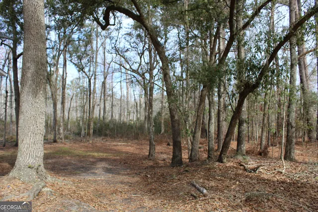 a backyard of a house with lots of trees