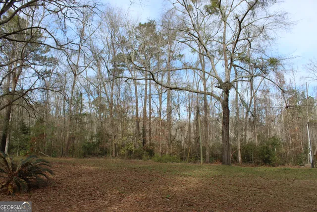 a big yard with lots of green space and trees