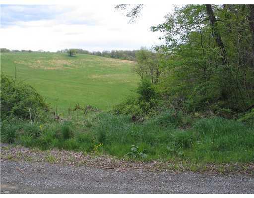 Casey Road McDonald, PA 15057 - Photo 12 of 13 Land/Lot. Spectacular view from the driveway.