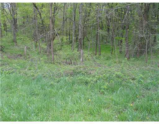 Casey Road McDonald, PA 15057 - Photo 8 of 13 Land/Lot. Wooded area near site of a former pond.