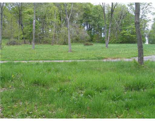 Casey Road McDonald, PA 15057 - Photo 10 of 13 Land/Lot. Gravel driveway is just off of Casey Road.