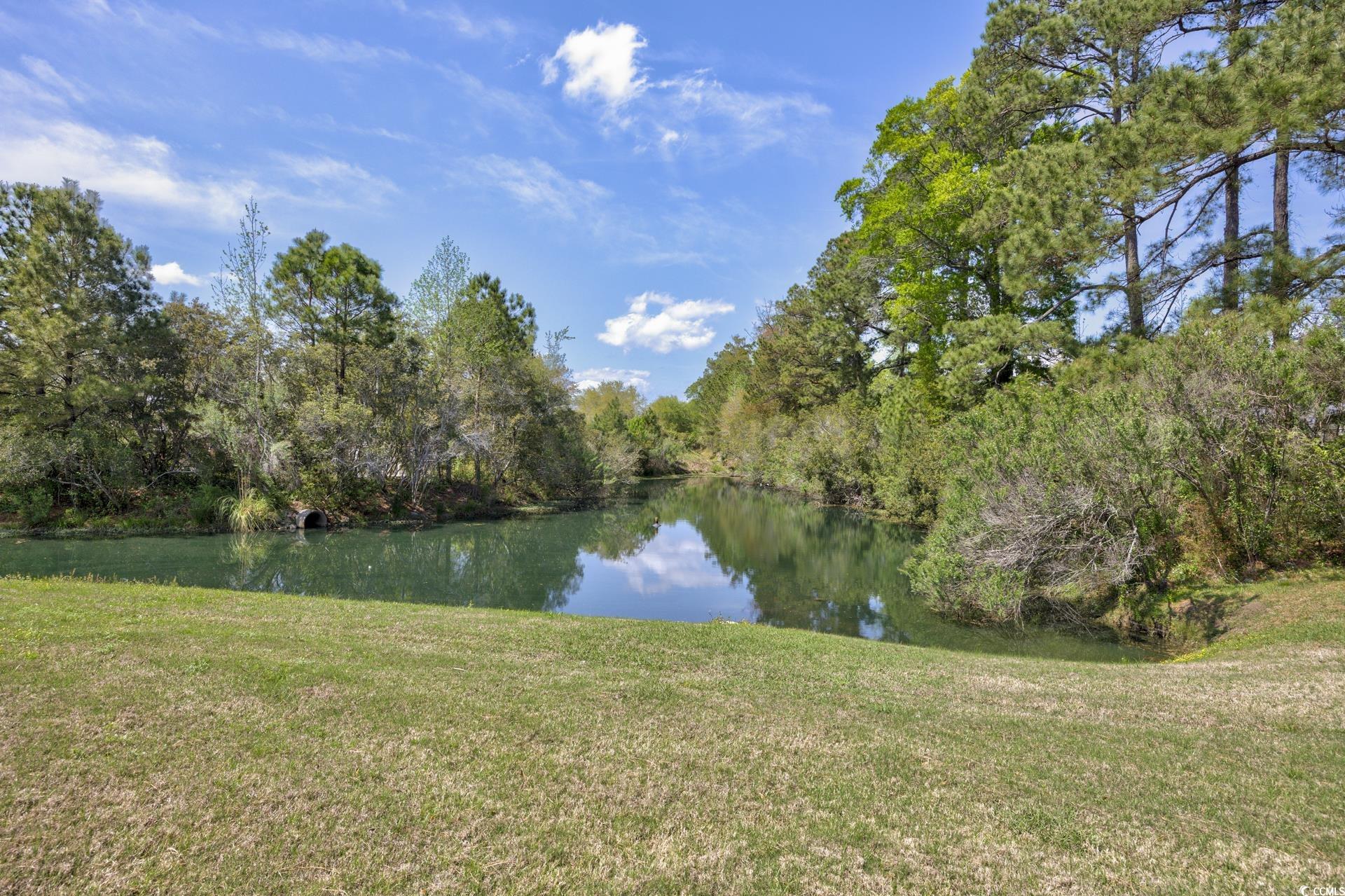 1501 Palmina Loop, Unit B Myrtle Beach, SC 29588 - Photo 32 of 40 Gallery Image 32